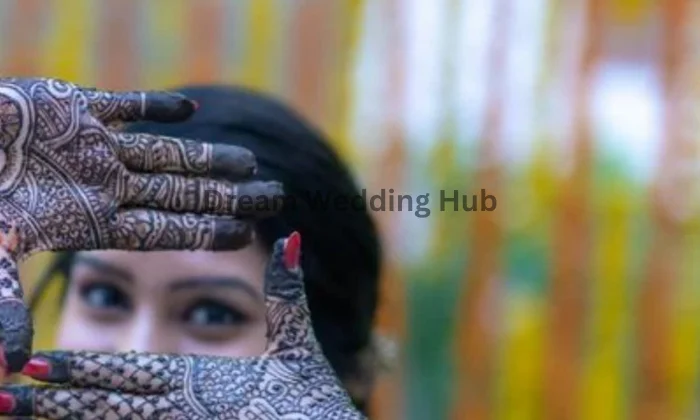 Sanjay Kumar Rajasthan Mahanadi Arts